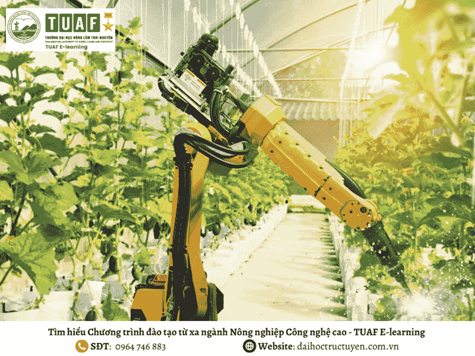 Ngành nông nghiệp công nghệ cao