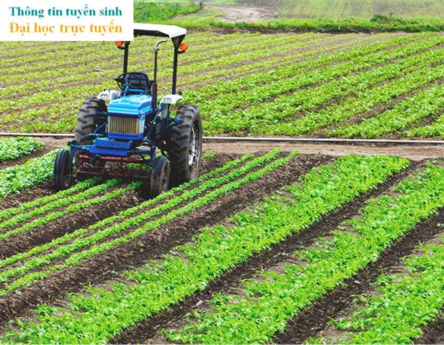 nông nghiệp công nghệ cao